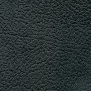 Birch Black