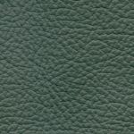 Birch Forest Green