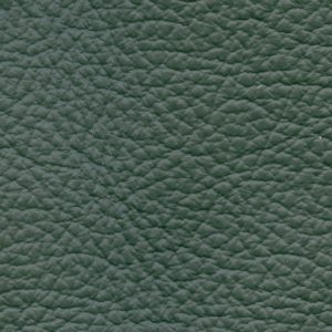 Birch Forest Green
