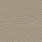 Birch Hessian
