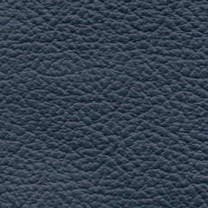 Birch Navy