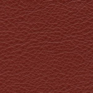 Lena Berry Red
