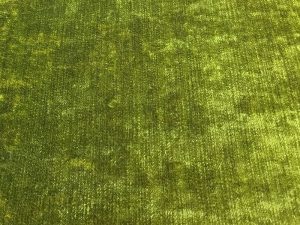 modena 13121 pistachio